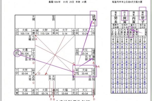 紫微斗数命盘实例解析-12