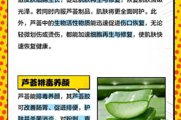 芦荟的风水作用