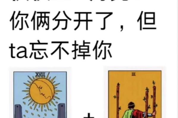 塔罗测试：我和他最终的关系？