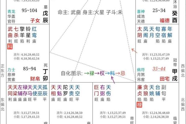 周公紫薇斗数