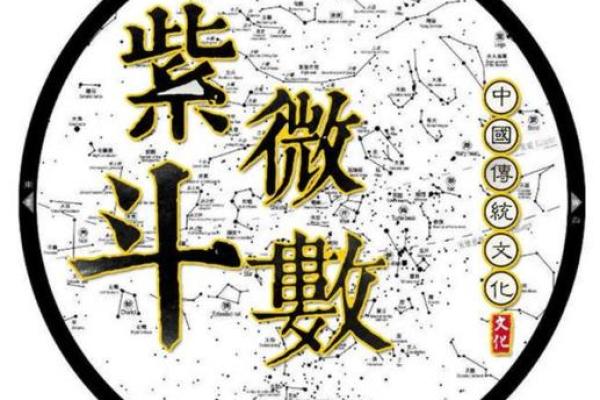 紫微斗数盘里紫薇
