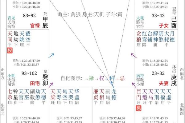 紫薇斗数专属命盘