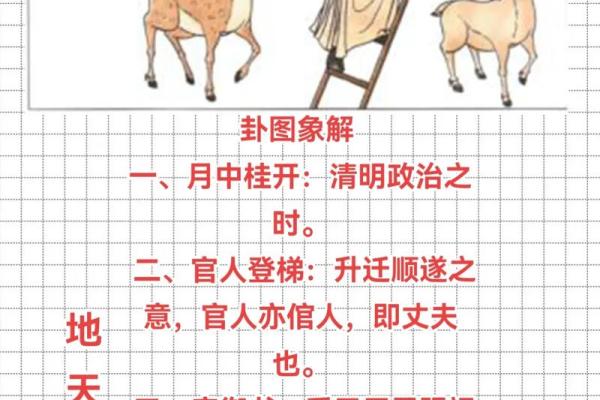 周易和紫薇斗数