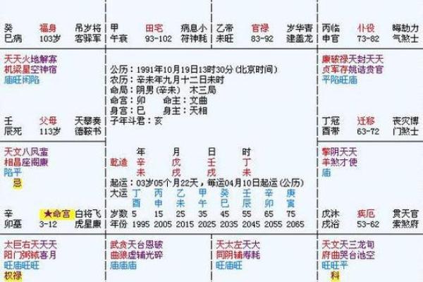 紫薇斗数廉贪巳亥二婚怎么样