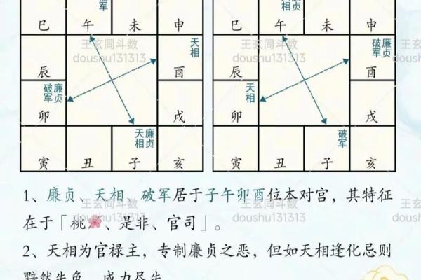 紫薇斗数廉贪巳亥二婚怎么样