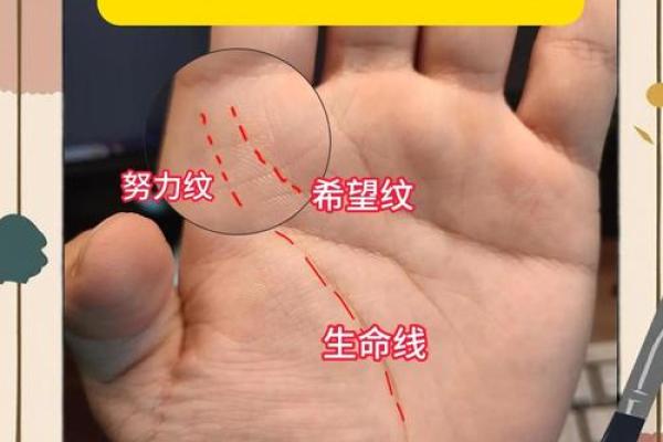 《手相学习百科》：手相重要辅线