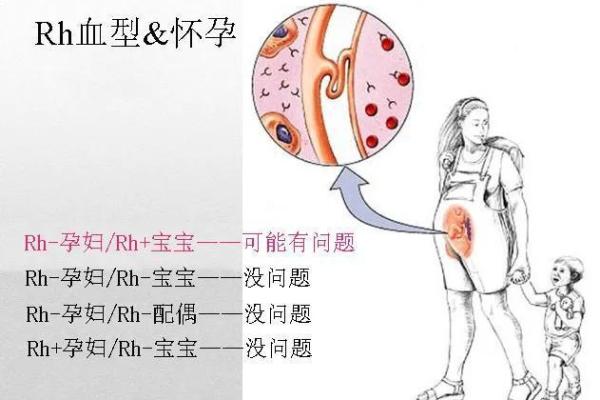 血型有什么变态情节