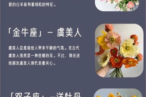 哪些花朵适合十二星座的专属