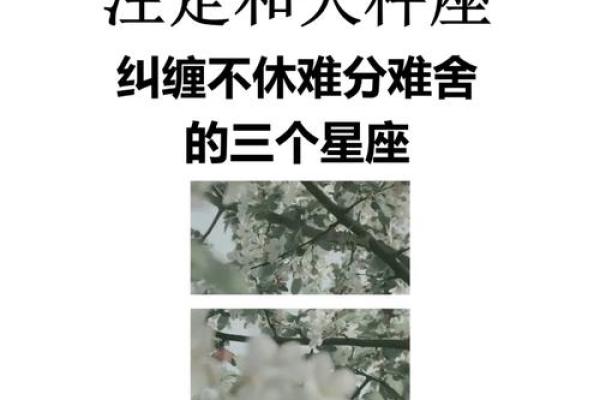 天秤座男 天秤座男生配对星座女