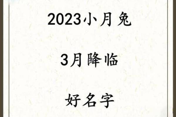 7月份出生的属兔男孩应该如何取名字姓名