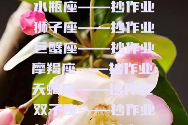 12星座谁最讨厌写作业 12星座谁最害怕写作业