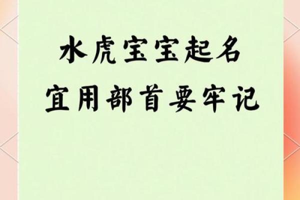 傍晚6点出生的属虎男孩如何起名，宜用什么字姓名