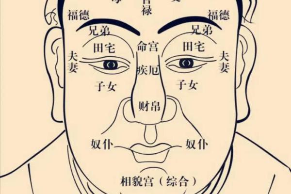 紫薇斗数长生