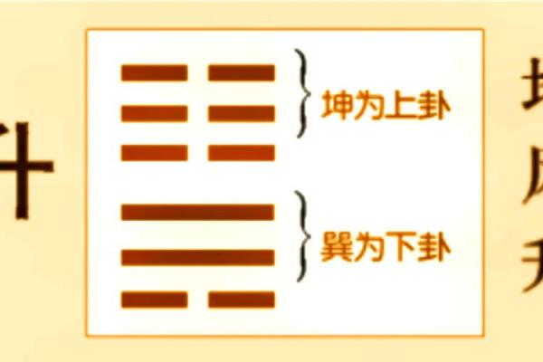 紫微斗数之八卦万物类象:震卦详解 紫微斗数之八卦万物类象:震卦详解