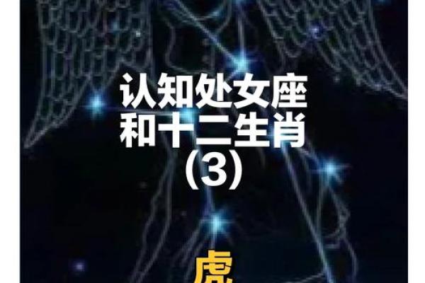 很可能嫁入霸道的总裁的星座女 嫁得好的星座女