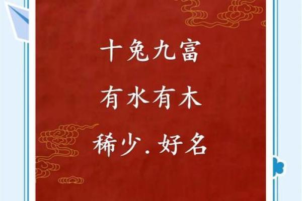 半夜出生属兔的男孩应该怎么样去名字呢姓名