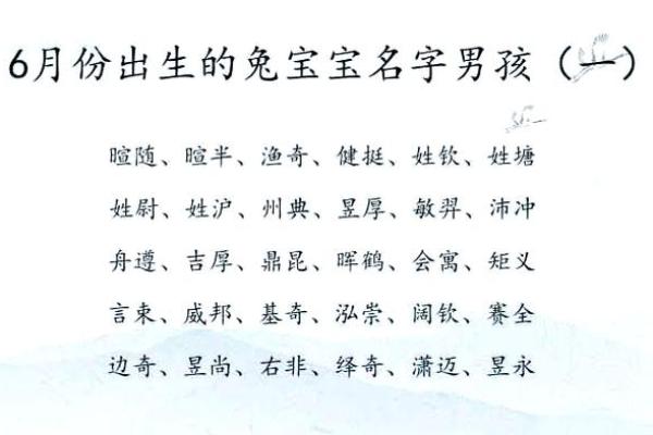 半夜出生属兔的男孩应该怎么样去名字呢姓名