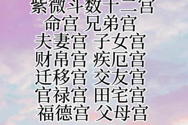 紫薇之术中的紫微斗数