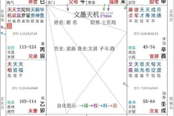紫薇斗数中忌庙是什么意思