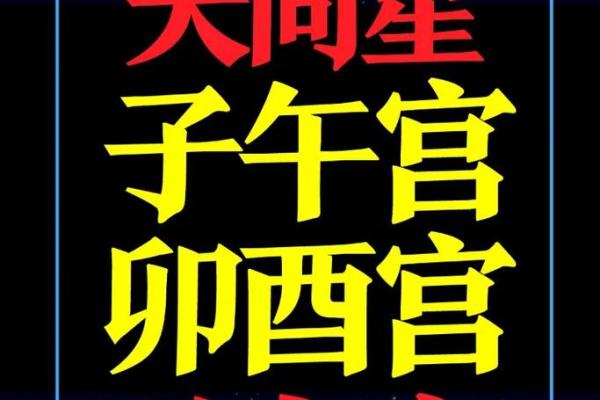 国内紫薇斗数大师