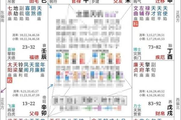 雪天紫薇斗数排盘软件