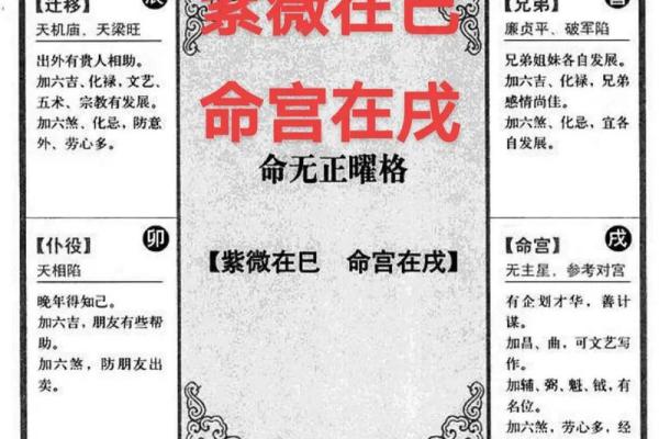 紫薇斗数意思