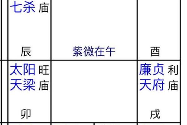 紫薇斗数一等命盘