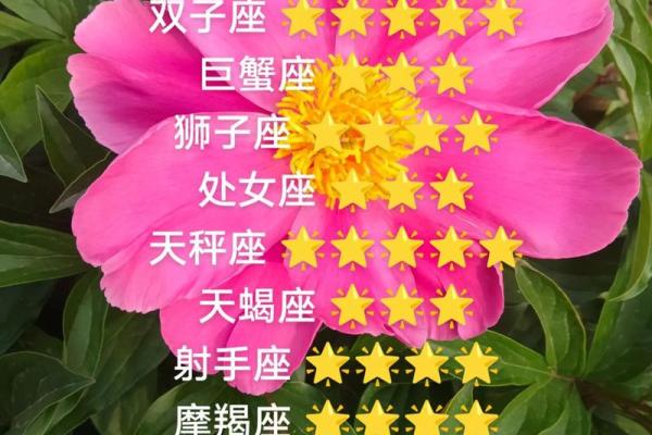 最近一年运势更好的星座
